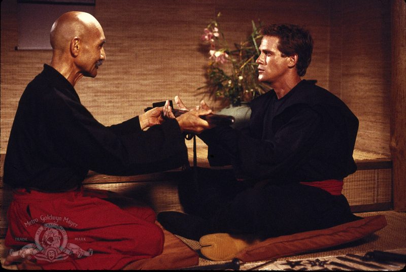 American Ninja Dudikoff 2