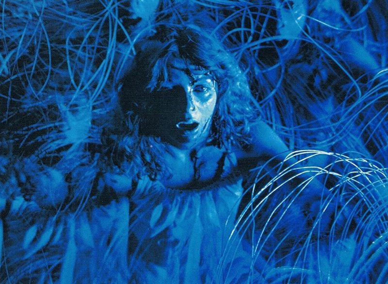 Suspiria tangled