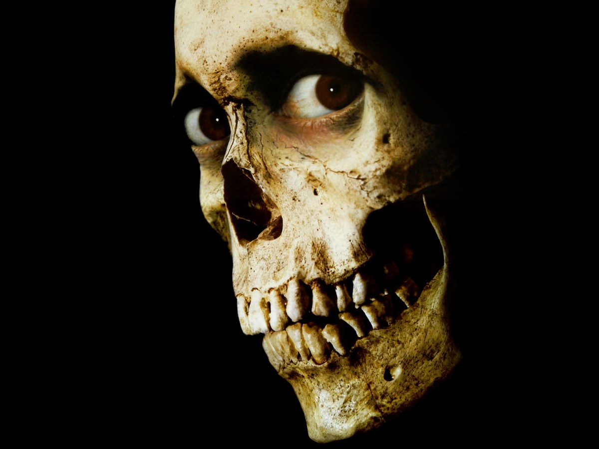 Evil Dead 2: Or How They Made The Sequel To The Ultimate in Gruelling&nbsp;Terror