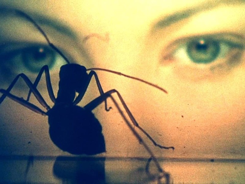 Phase IV: Super-Intelligent Ants Take on Man in a 70s Sci-fi&nbsp;Head-Scratcher