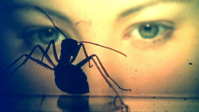 Phase IV: Super-Intelligent Ants Take on Man in a 70s Sci-fi&nbsp;Head-Scratcher
